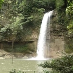 Air Terjun Cebi-Cebi ini memiliki debit aliran air yang sangat deras. Sudah tentu sangatlah segar jika Anda ingin menikmati airnya. 

Meski air terjun ini tidak terlalu tinggi dengan ketinggian sekitar 14 meter, akan tetapi pesonanya memang sungguh menawan. Seperti halnya banyak pepohonan rindang dan juga tebing-tebing tinggi yang mengelilinginya.