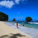 Destinasi Wisata Halewo Toitoi adalah objek wisata pantai yang berlokasi strategis di Kecamatan Maba Utara. Pantainya memiliki pasir Putih dengan debur ombak dengan panorama khas pantai. Di pantai ini memiliki spot foto instagramable.
Lokasi Pantai berada di Desa Jara-jara. Jarak tempuh Pantai  Halewo Toitoi dari pusat Kota Maba Kurang Lebih 3 Jam Menggunakan Speed Boat. 