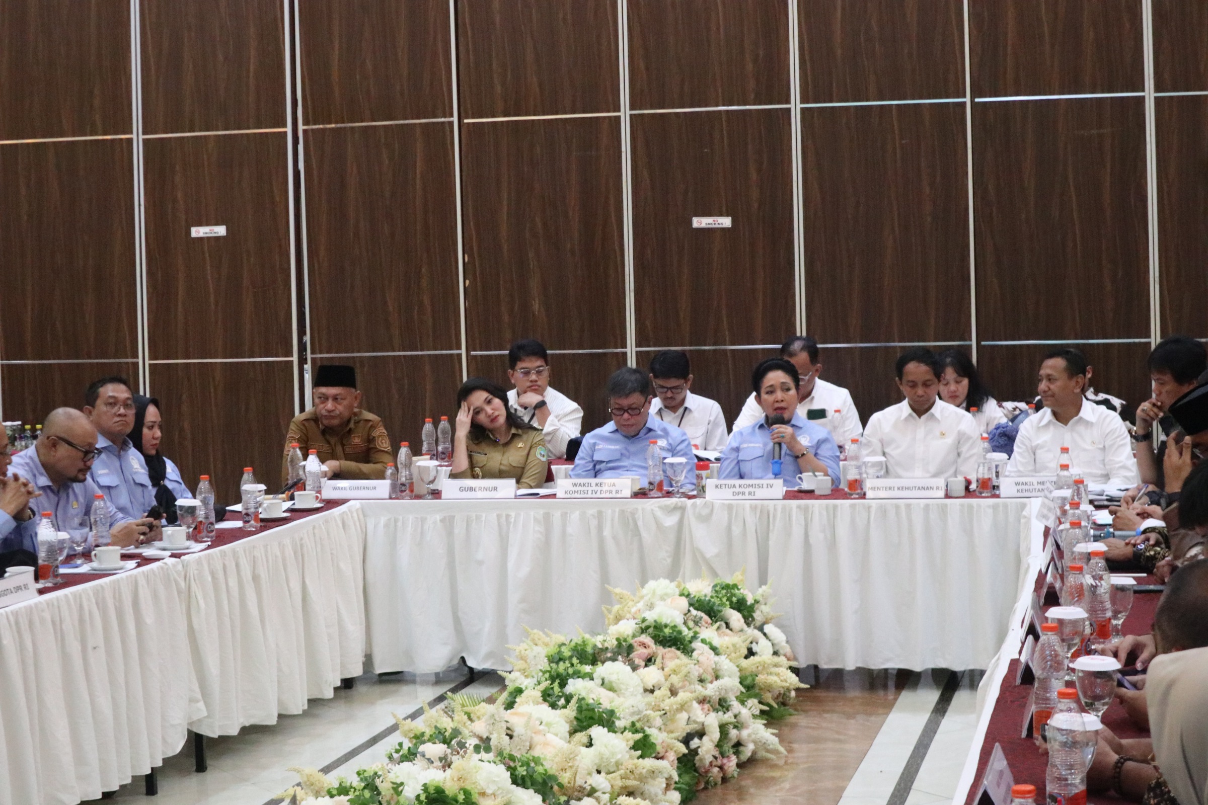 DPR RI Minta KLHK Perketat Pengawasan Tambang di Malut