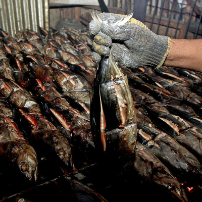 Mengintip Pengolahan Ikan Asap di Halsel