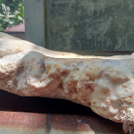 Nelayan Halmahera Barat Temukan Ambergris Bernilai Jutaan