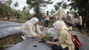 Dpw Tani Merdeka Indonesia Maluku Utara Tinjau Lahan Petani