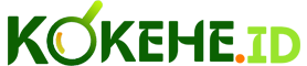 Kokehe logo